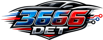 3666 det